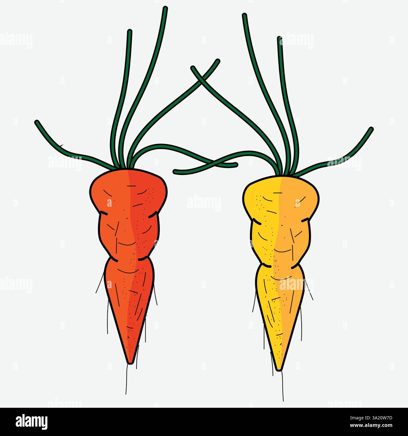 vector illustration of a carrot Stock Vector