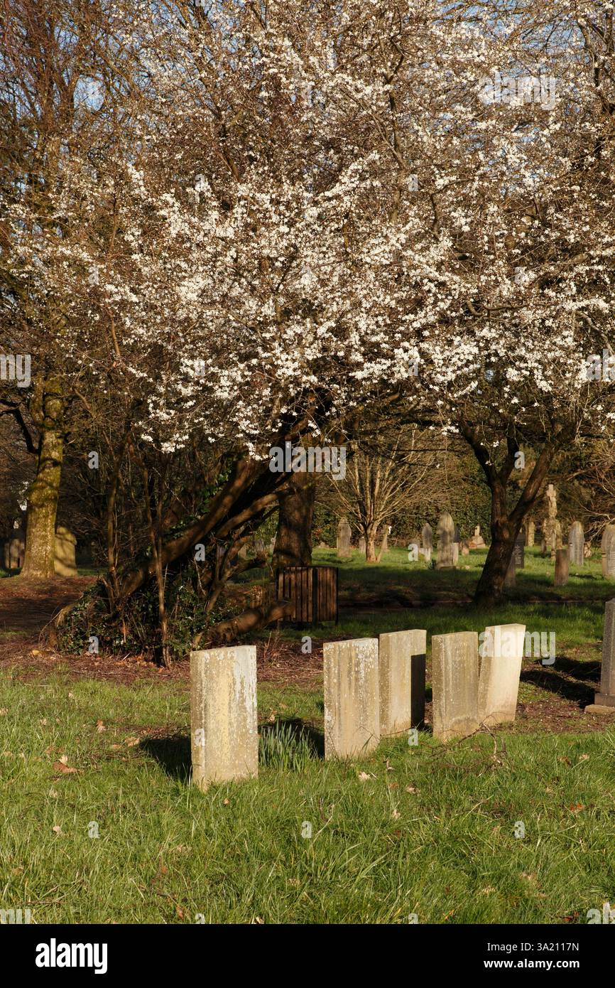 Paupers graves, marked by a simple stone. Stock Photo