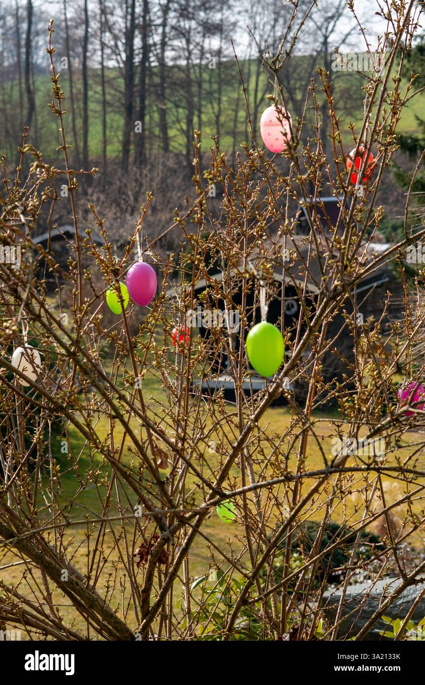 Colorful Easter eggs move on a bush in spring vertical Stock Photo