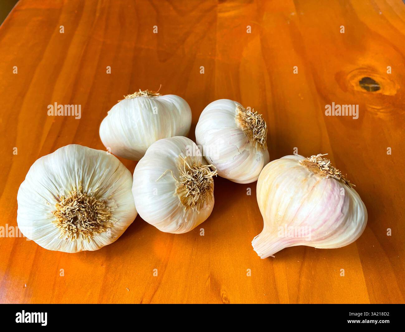 Garlics. - Smartphone Captured Stock Image