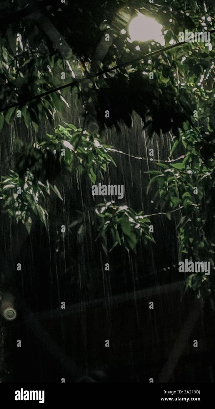 Buenos Aires, 10.03.2025: View of rain at night in the city. (Photo: Néstor J. Beremblum) - Smartphone Captured Stock Image