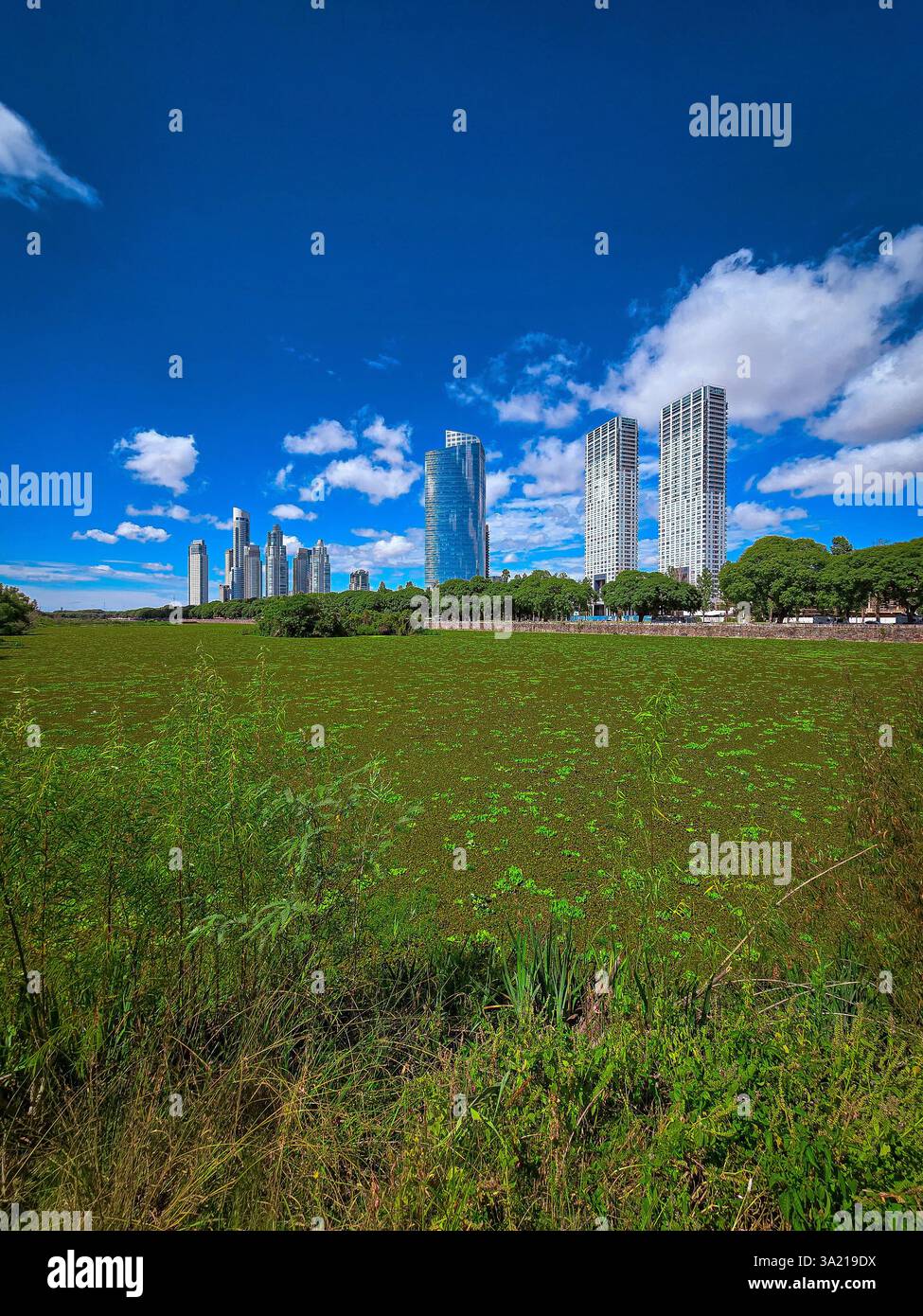 Buenos Aires, 10.03.2025: View of Building of Puerto Madero and Ecological Reserve (Photo: Néstor J. Beremblum) - Smartphone Captured Stock Image