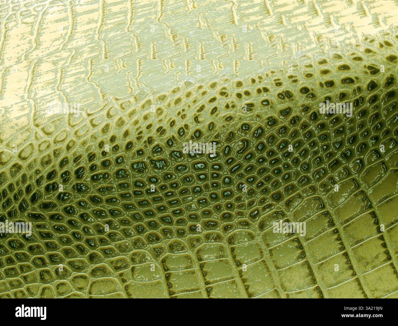 Alligator Scales Background