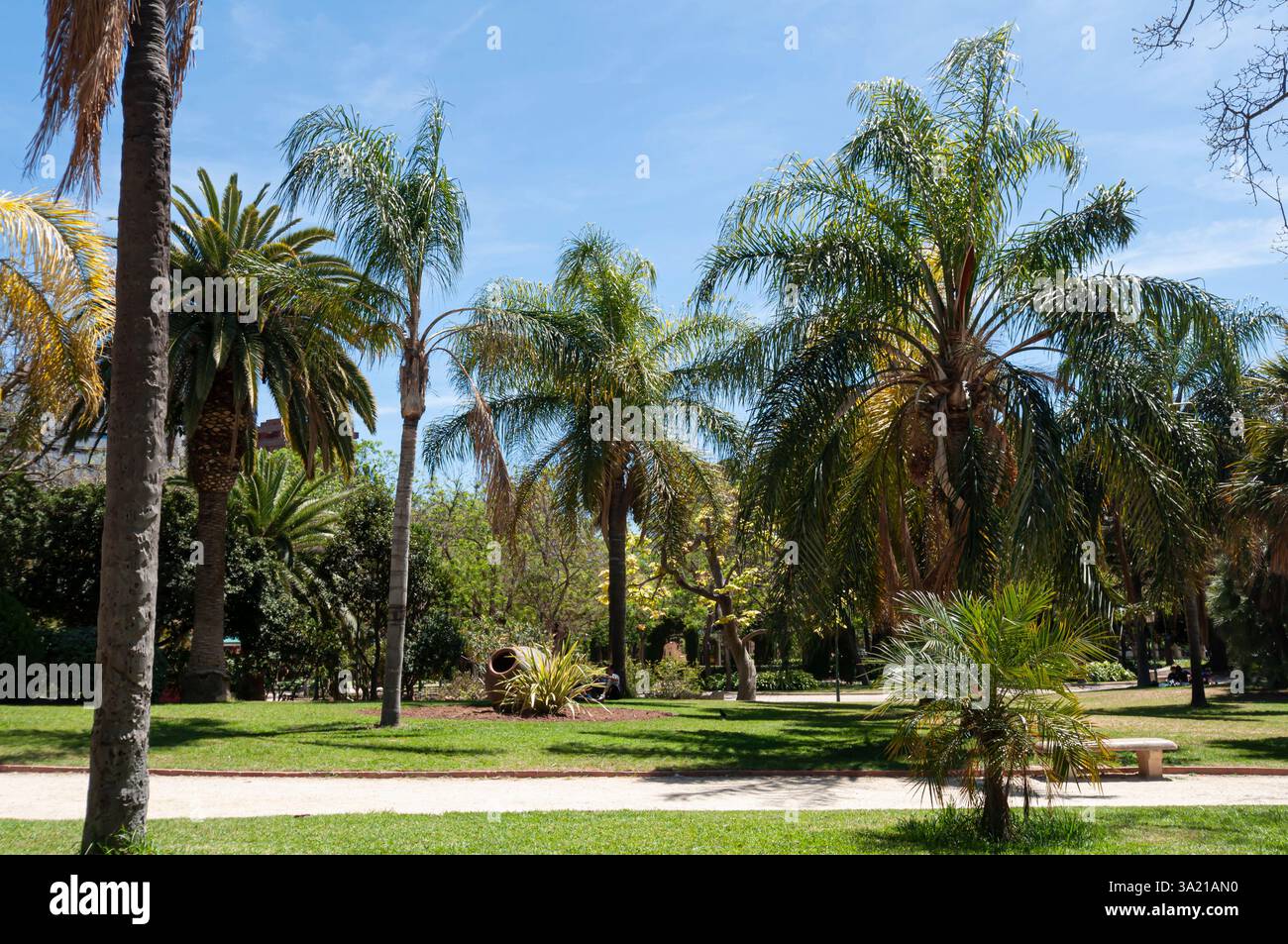 La palmera hi-res stock photography and images - Alamy