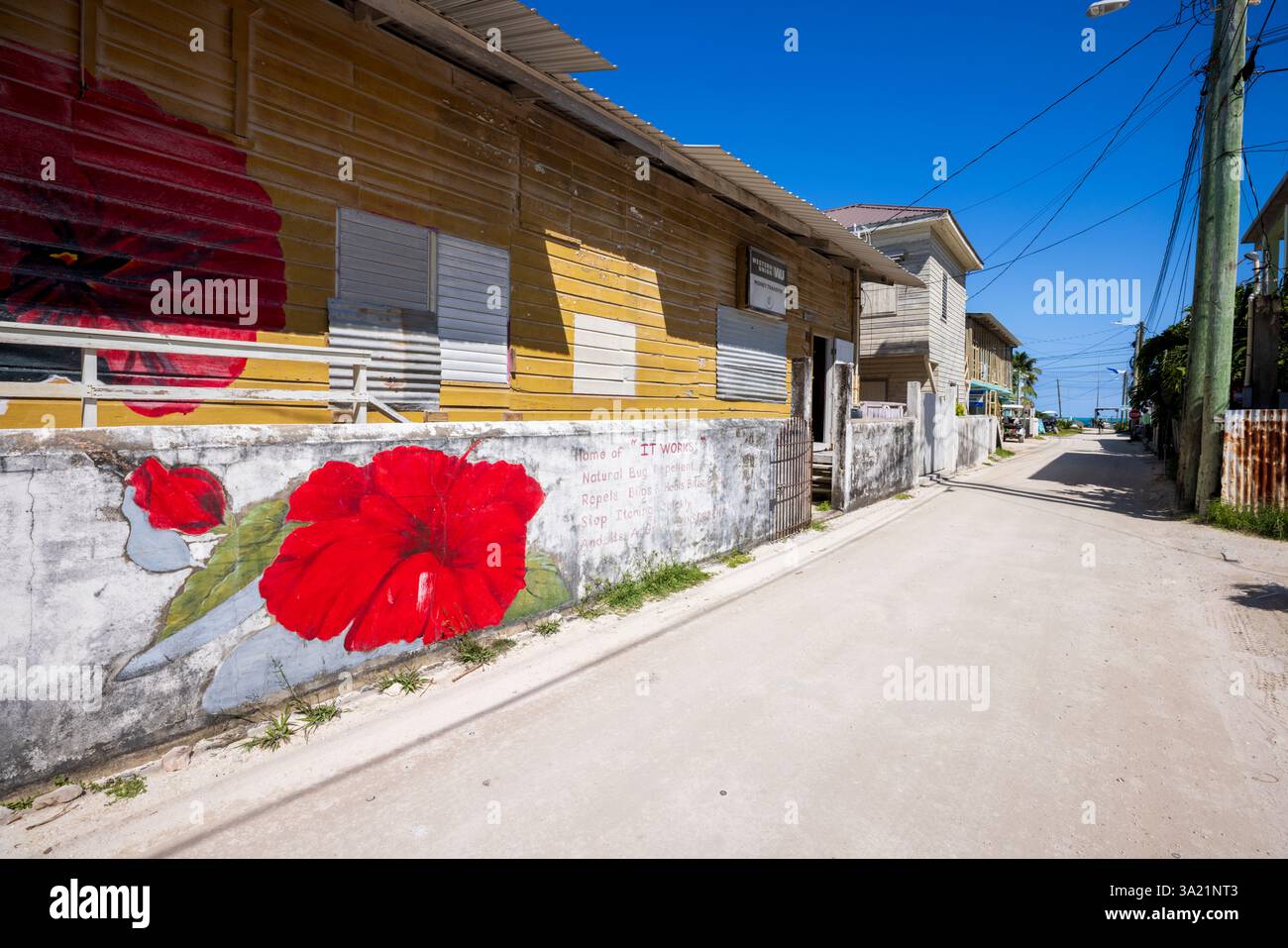 The streets of Caye Caulker, Belize, Central America Stock Photo