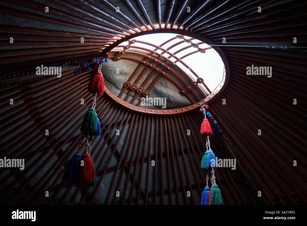 Ольга Зейдгермен жыныстық қатынас Порно әженің ақылсыздығы