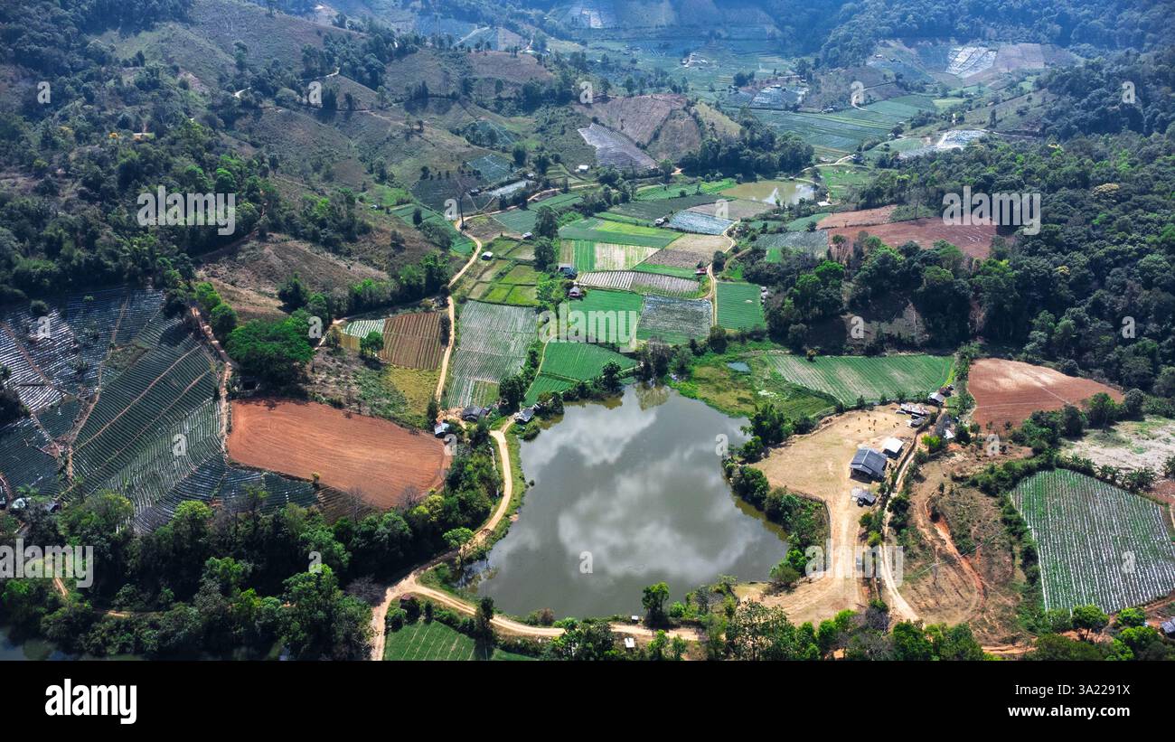 Aerial view lush thai resort hi-res stock photography and images - Alamy
