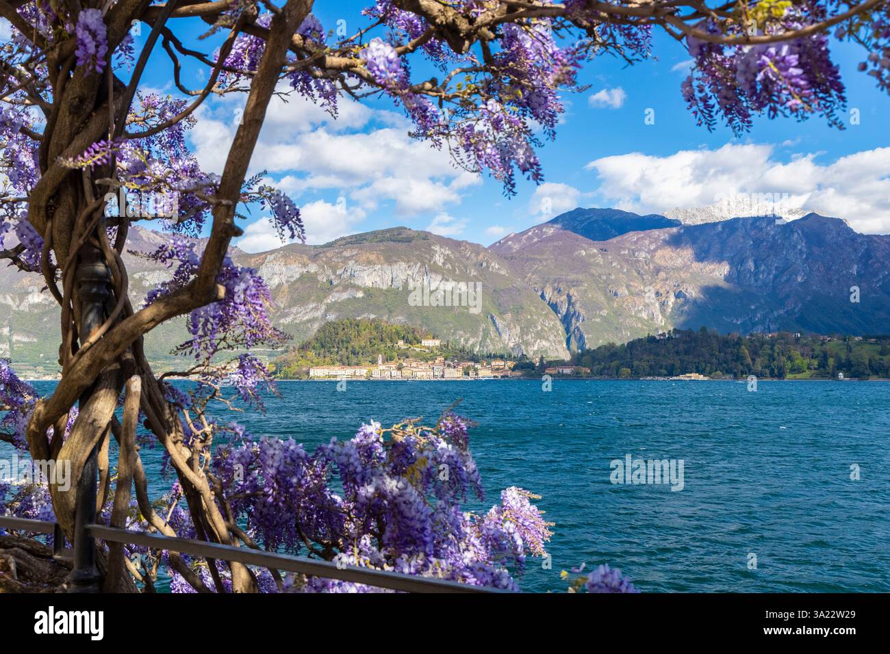 Wisteria como lake italian landscape hi-res stock photography and images -  Alamy