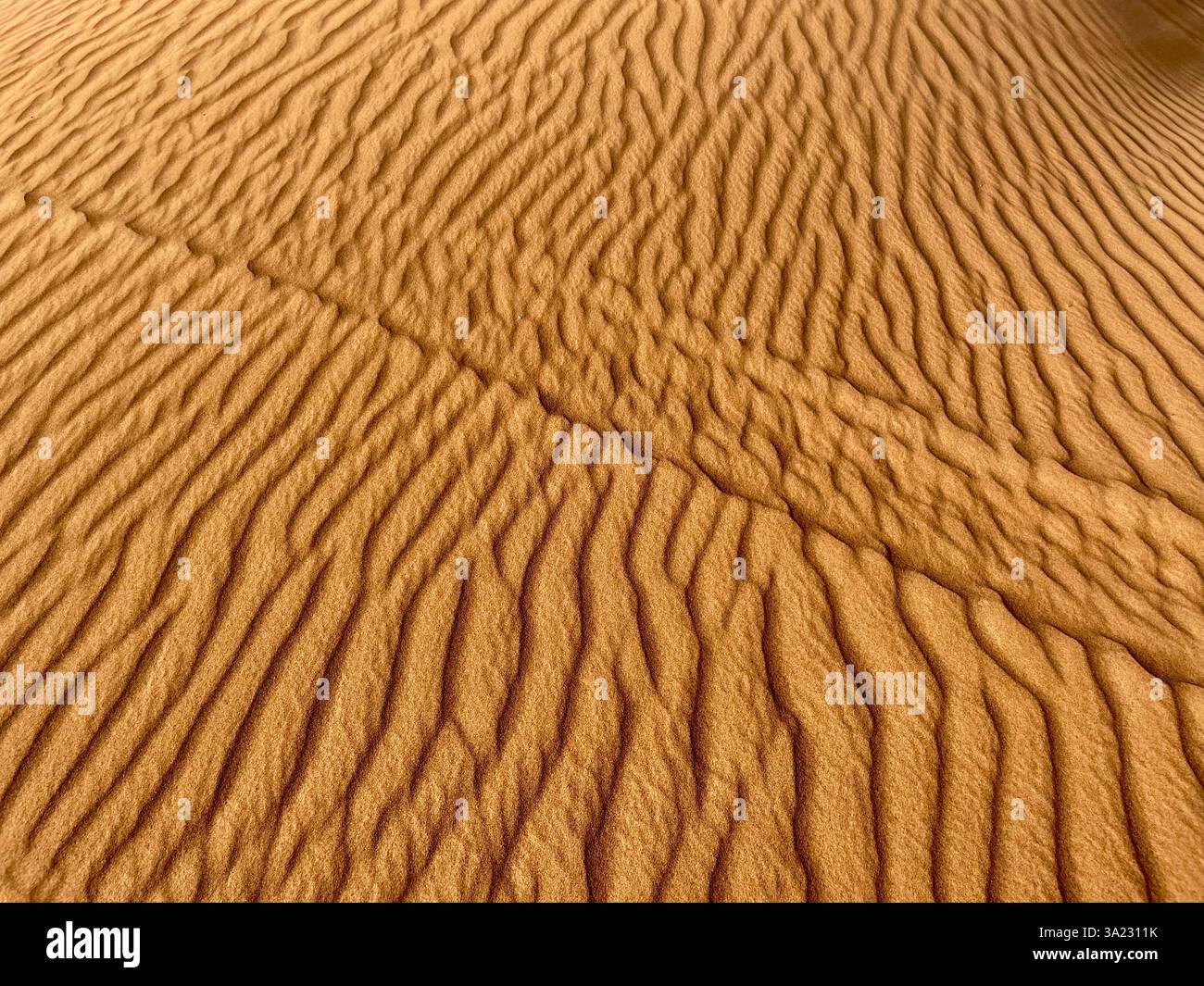 Patterns in golden sand dunes - Smartphone Captured Stock Image
