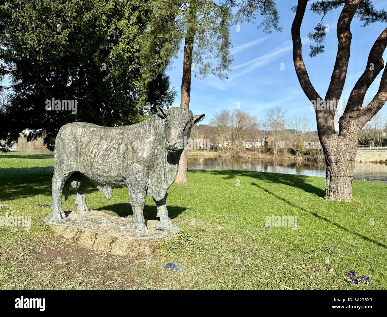 Welsh Black Bull Statue, Wye Bridge, Builth Wells, Powys, Wales - Smartphone Captured Stock Image
