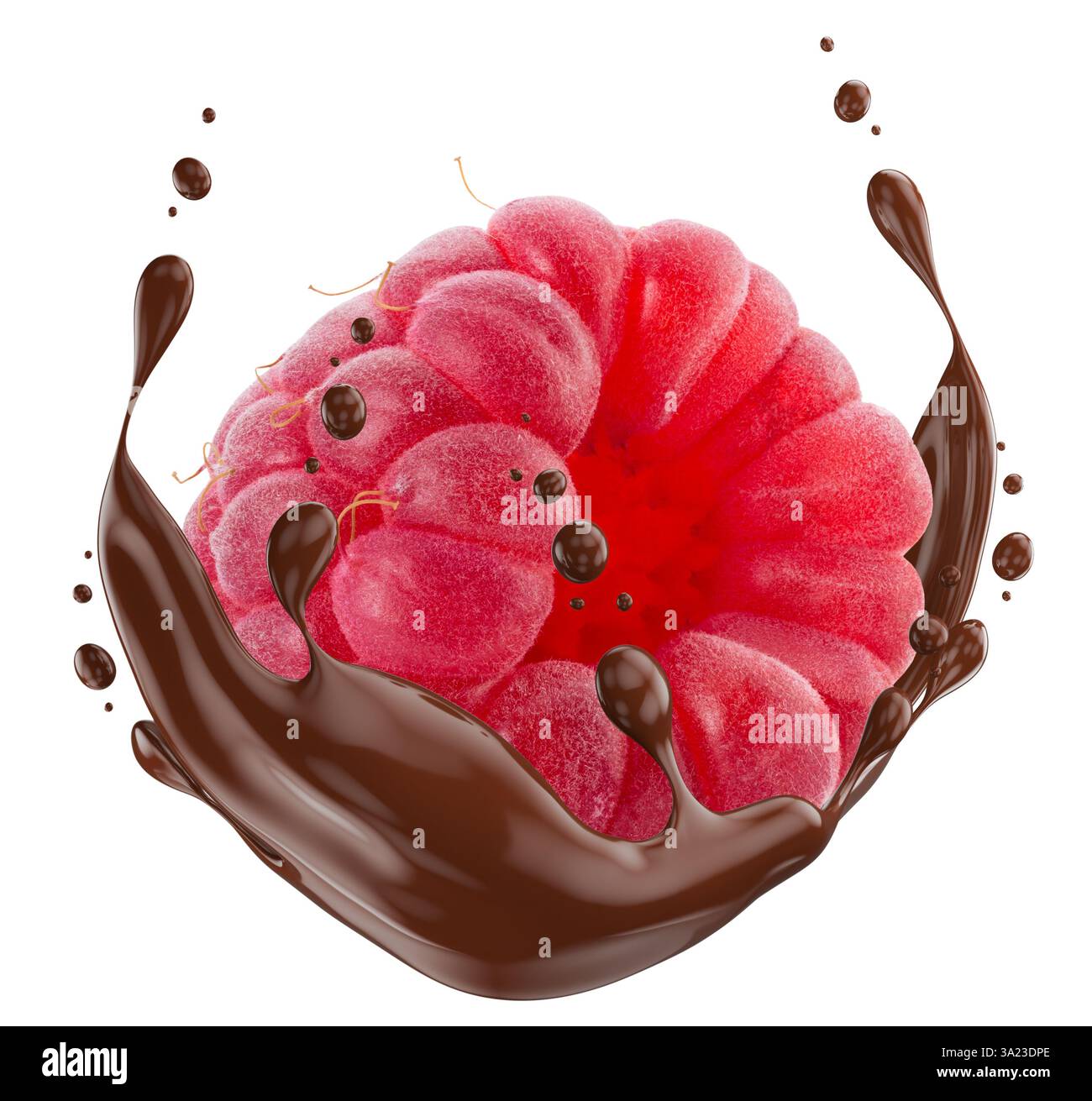 raspberry in chocolate splash isolated on a white background Stock ...