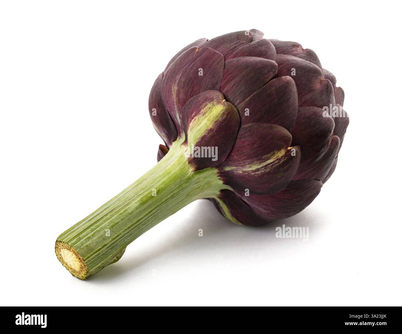 Fresh Artichoke Isolated on White Stock Photo