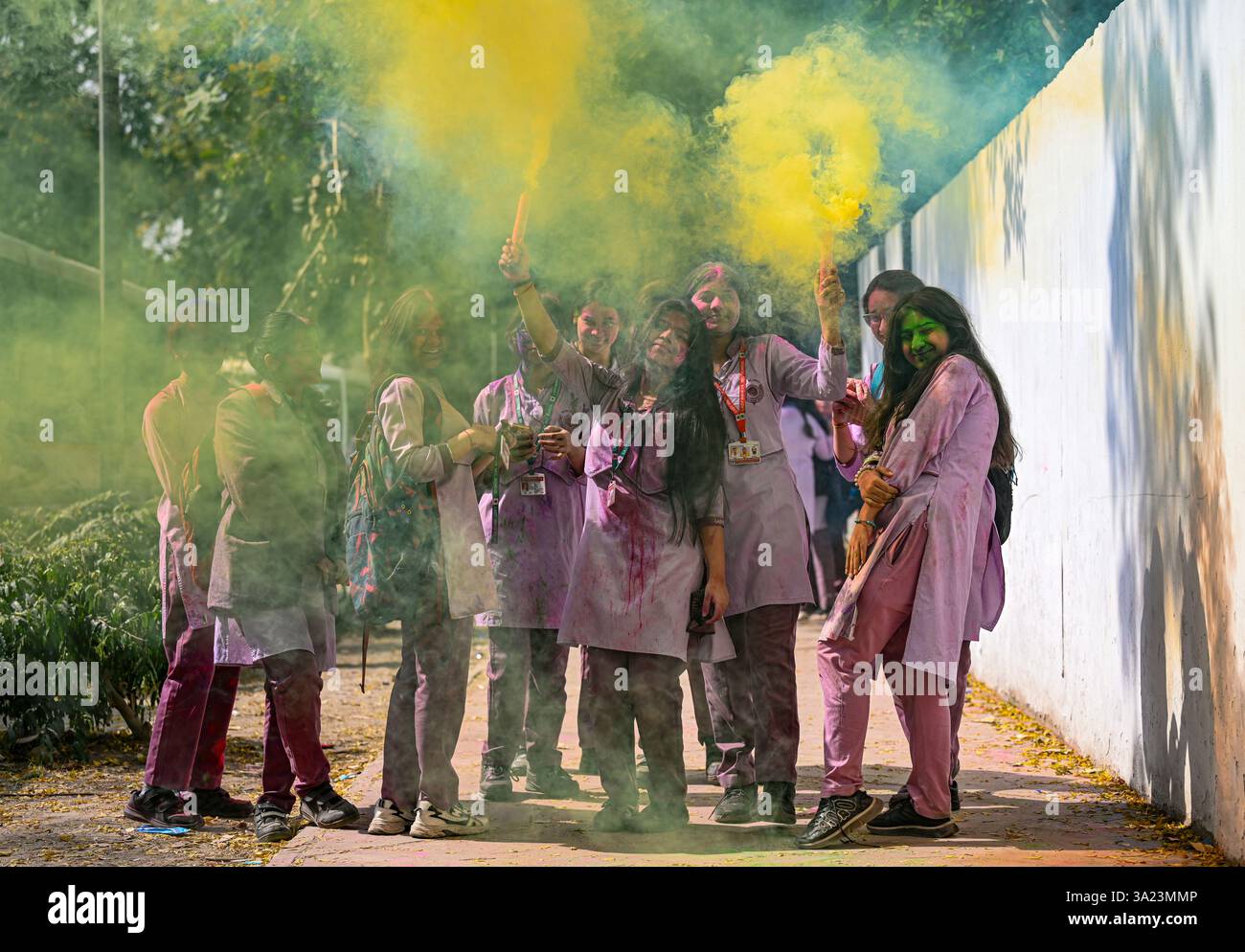 holi colors usa