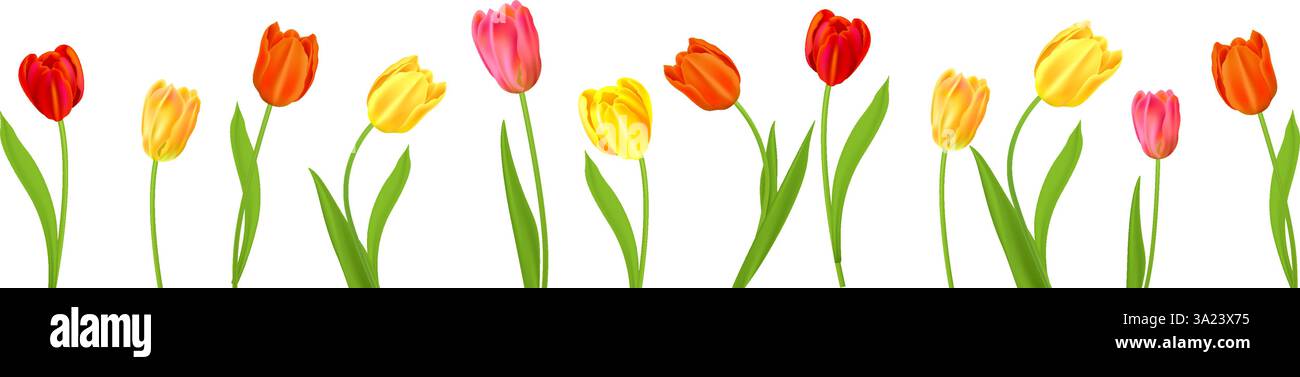 Isolated tulips bouquet Stock Vector Image & Art - Alamy