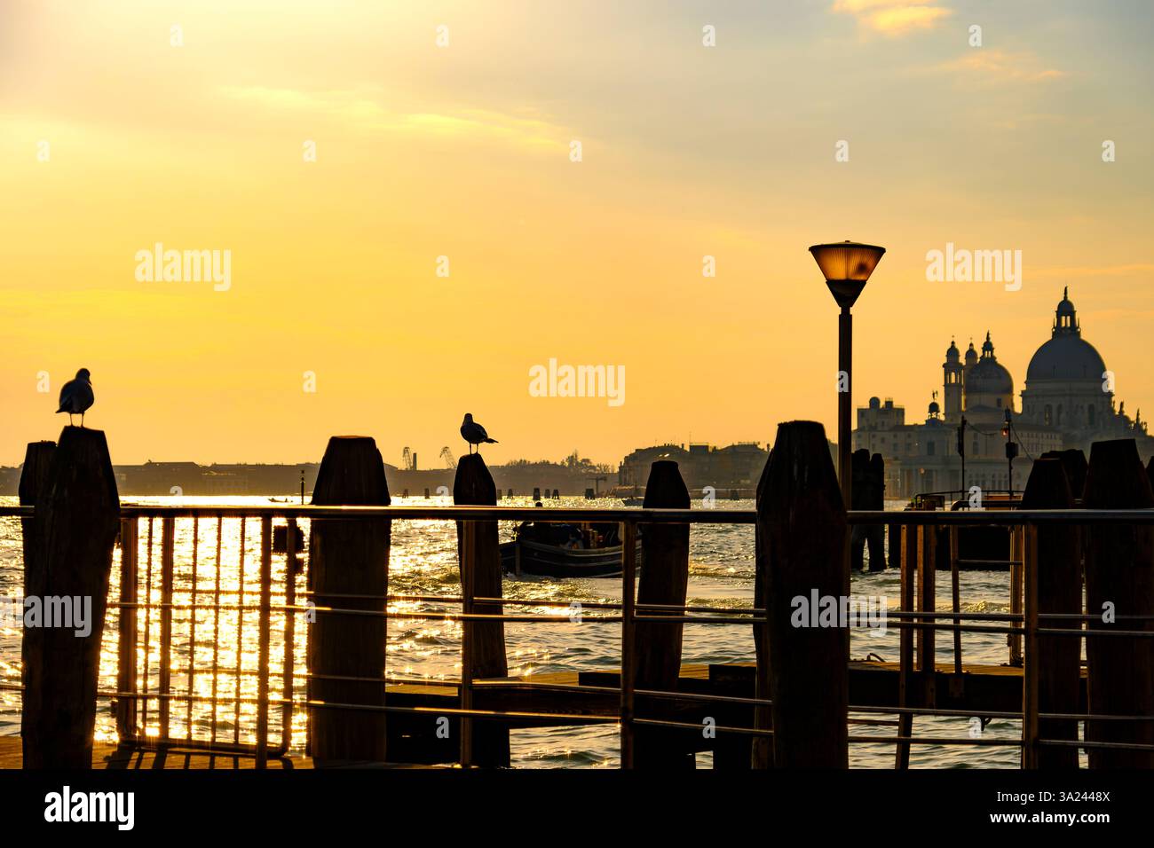 Sunset at Venice with a view on the Basilica di Santa Maria della ...