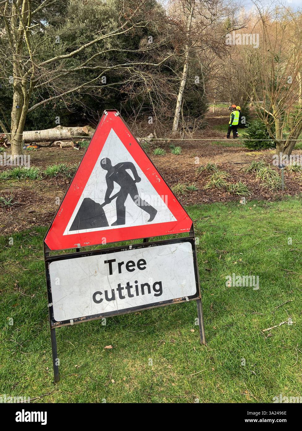 Sign Tree cutting garden maintenance - Smartphone Captured Stock Image