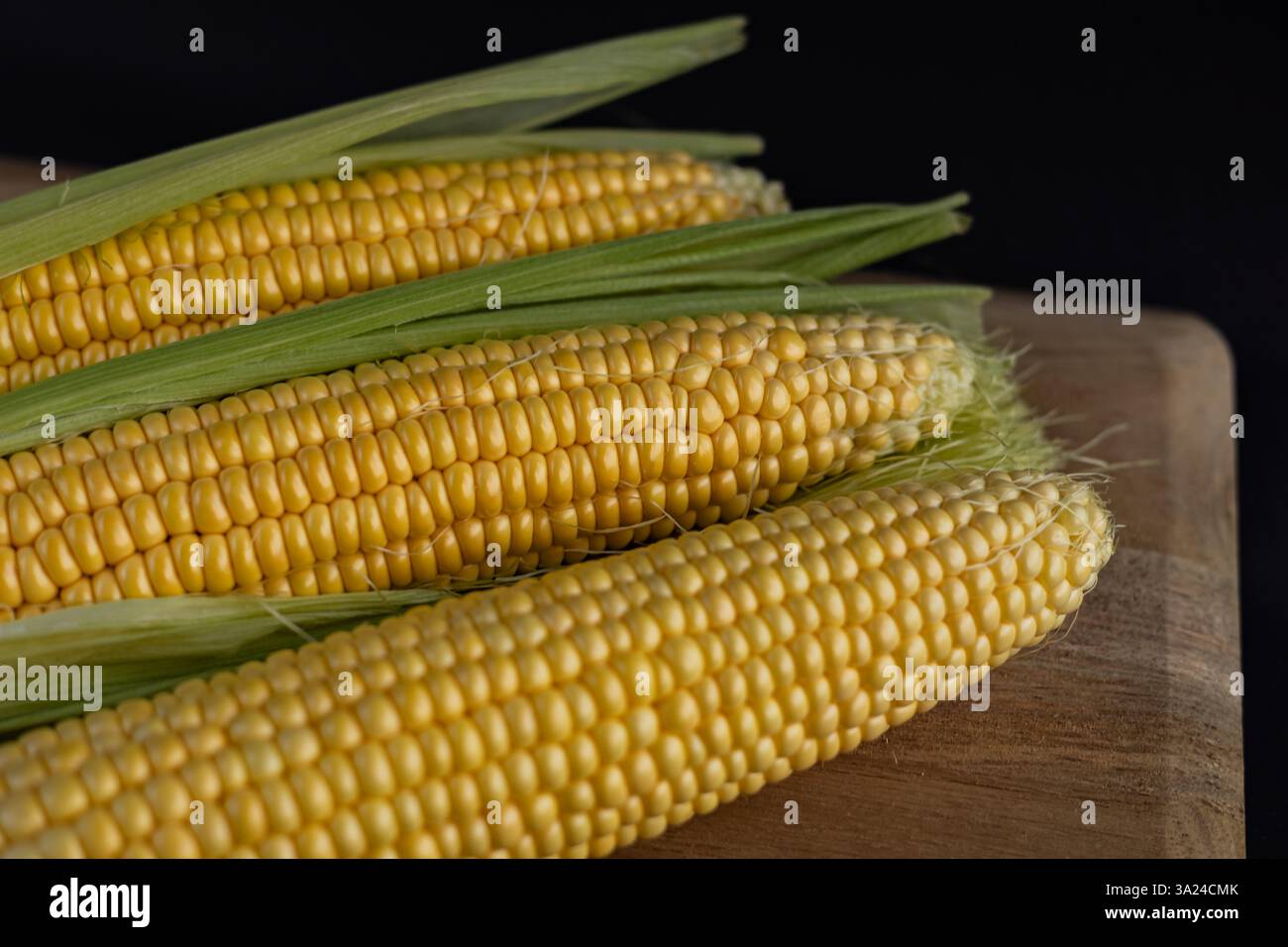 Fresh sweet corn cobs with green husks on wooden cutting board against dark background. Close-up of ripe maize ears with shiny yellow kernels Stock Photo