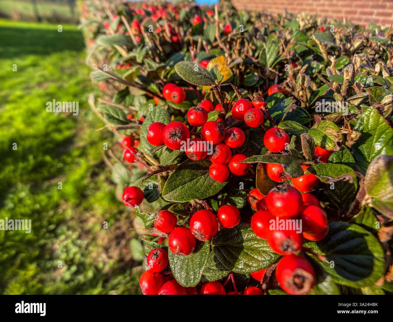 Play park in the UK Stock Photo
