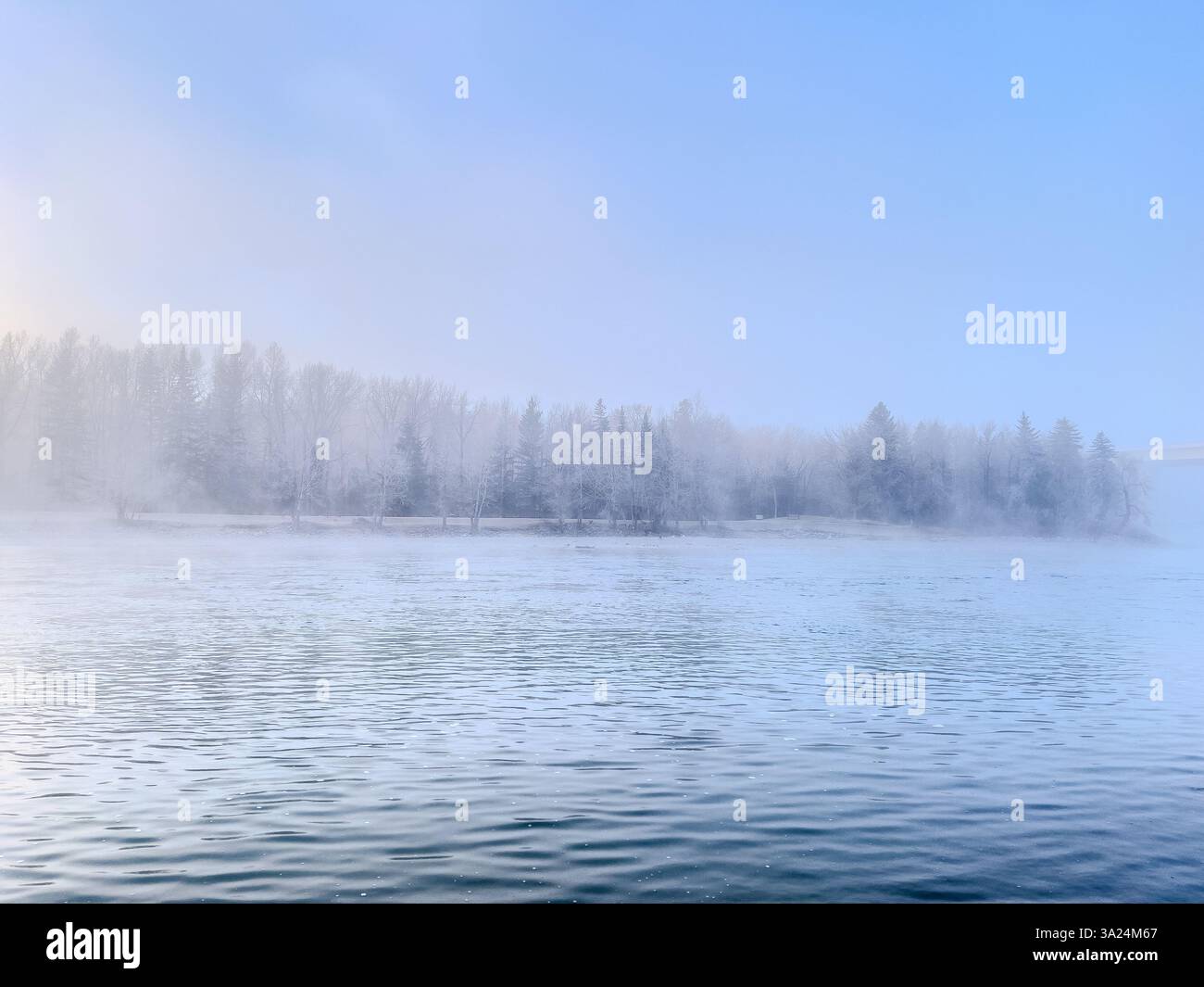 A cold river flows past a frost-covered forest on a misty winter morning. The fog hovers above the water while icy tree branches line the shoreline un - Smartphone Captured Stock Image