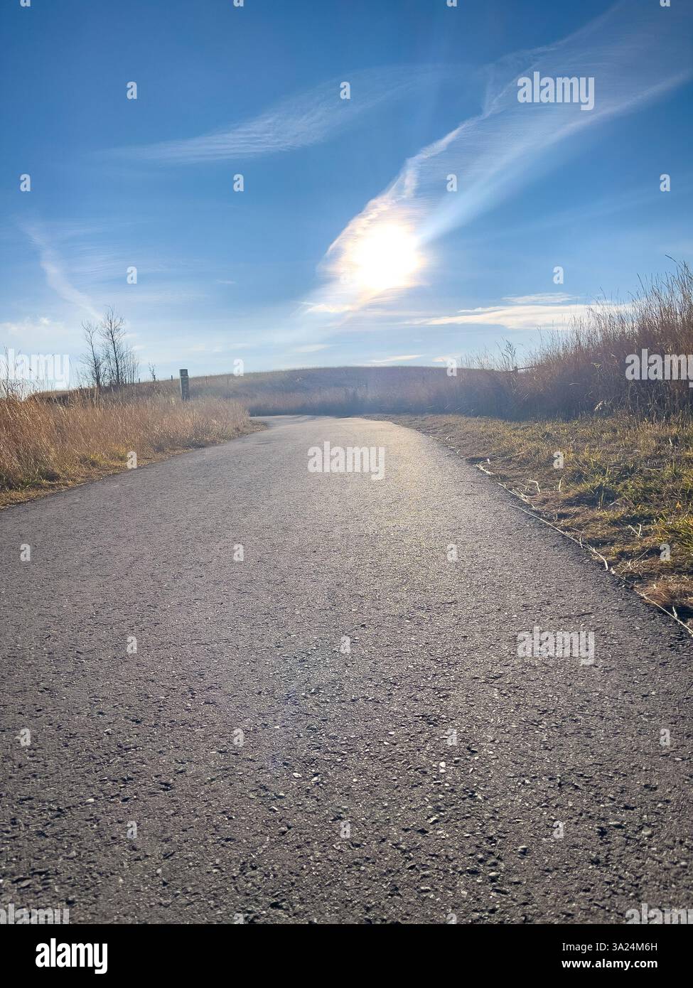 A smooth asphalt road surrounded by dry grass stretches toward the horizon under a bright sun and wispy clouds in a blue sky. The sun creates a radian - Smartphone Captured Stock Image