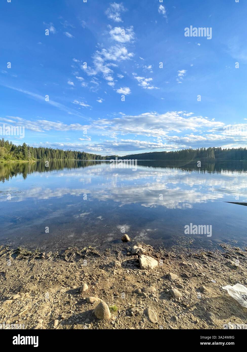 A calm lake reflecting the blue sky and scattered clouds, surrounded by a forest. The shoreline features rocks and natural elements, creating a peacef - Smartphone Captured Stock Image