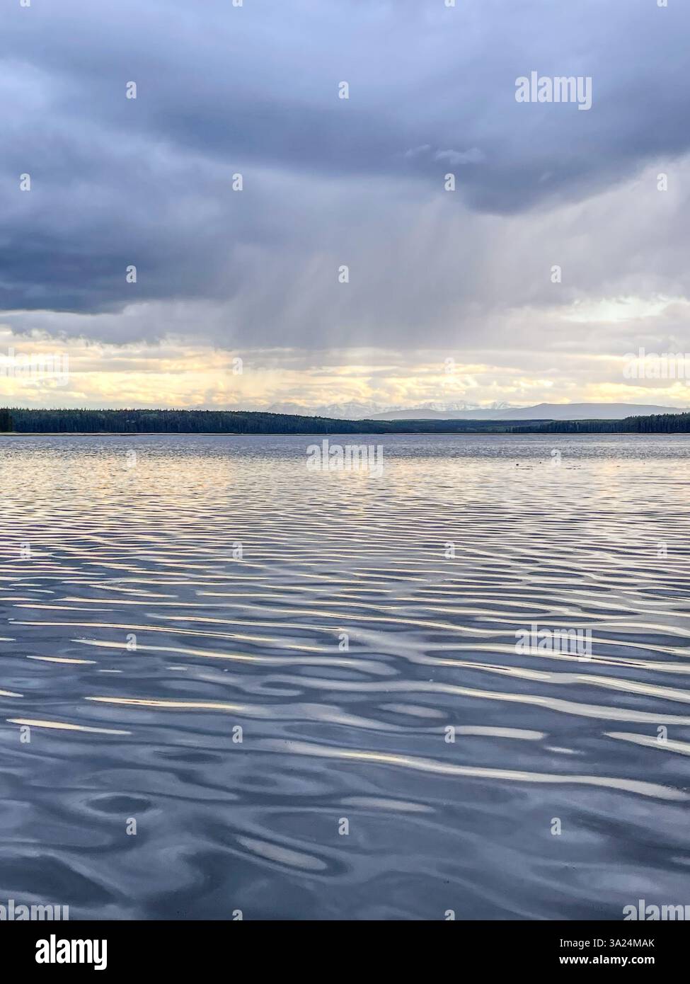 A reflective lake with gentle ripples under a dark cloud-covered sky, with a treeline and distant mountains visible on the horizon. - Smartphone Captured Stock Image A reflective lake with gentle ripples under a dark cloud-covered sky, with a treeline and distant mountains visible on the horizon. - Smartphone Captured Stock Image