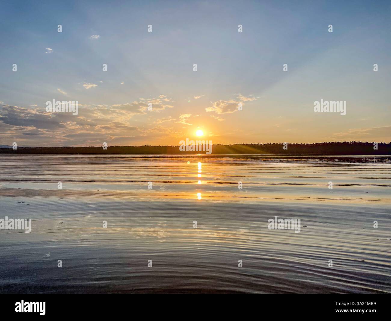 A peaceful sunset over a still lake with golden reflections on the water. The horizon is lined with dense forest, and the sky features soft clouds wit - Smartphone Captured Stock Image