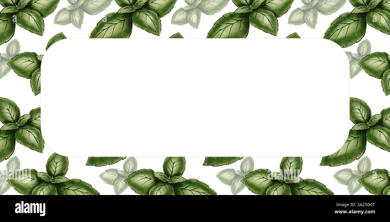 Watercolor frame with green basil leaves on a white background. Perfect ...