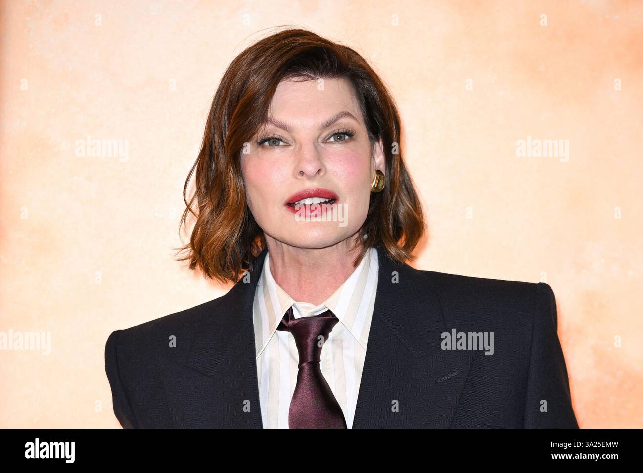 paris-france-11th-mar-2025-linda-evangelista-attending-the-yves