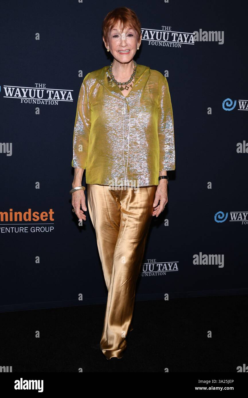 Kathy Eldon attends The Wayuu Taya Foundation