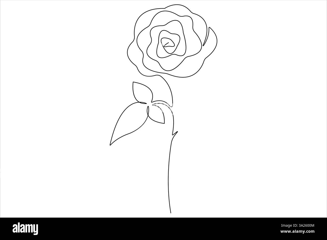 Rose flower continuous one line art drawing of outline vector ...