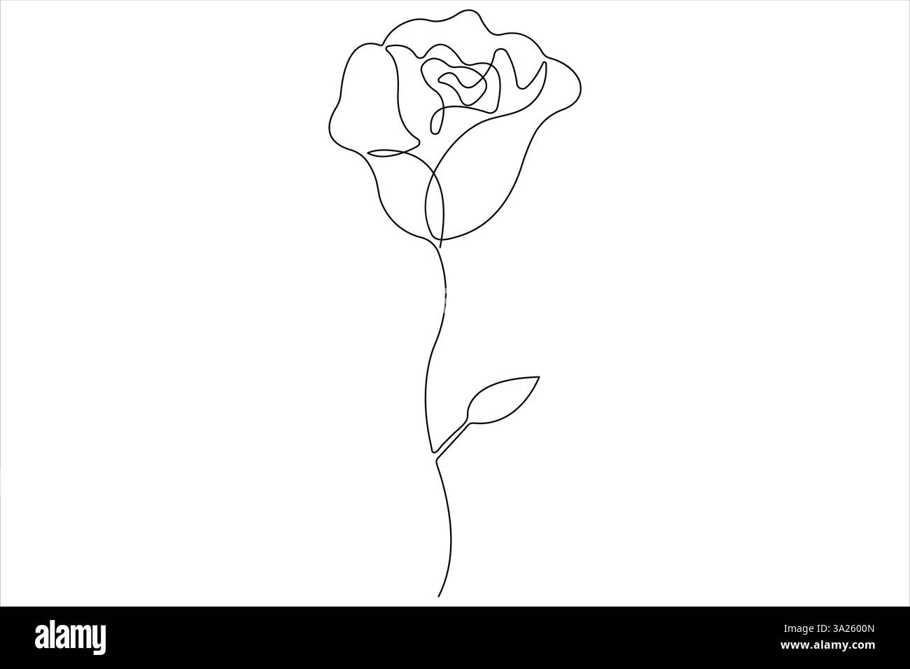 Rose flower continuous one line art drawing of outline vector ...