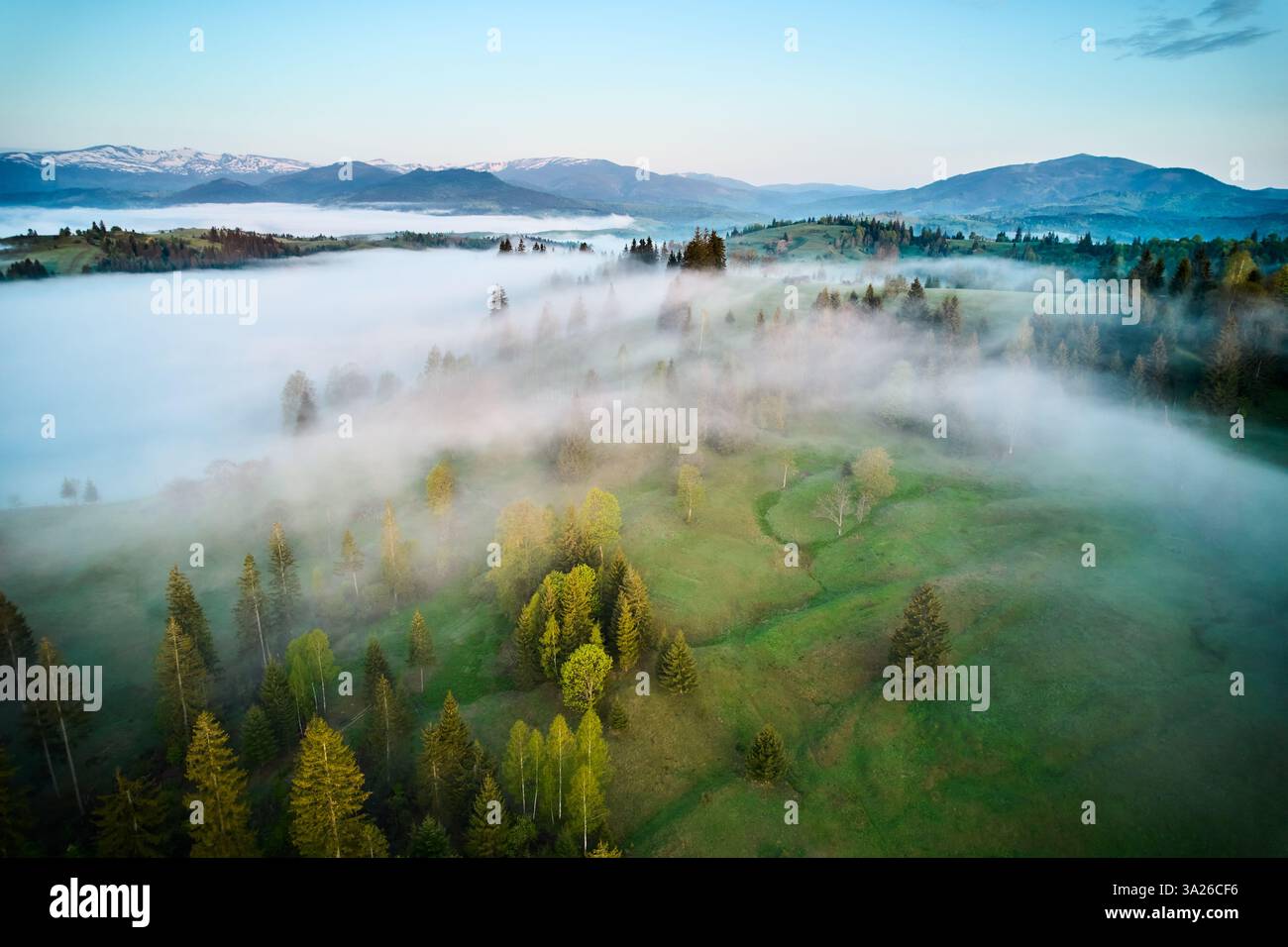 Soft light envelops hi-res stock photography and images - Alamy