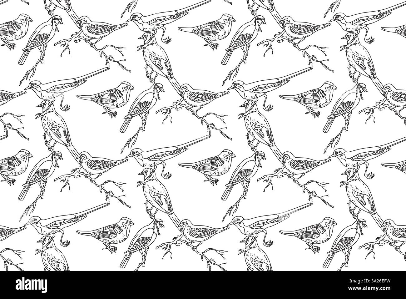 Line art seamless pattern with garden birds vector illustration. Hand drawn outline repeating pattern different birds background. Graphic design for C Stock Vector