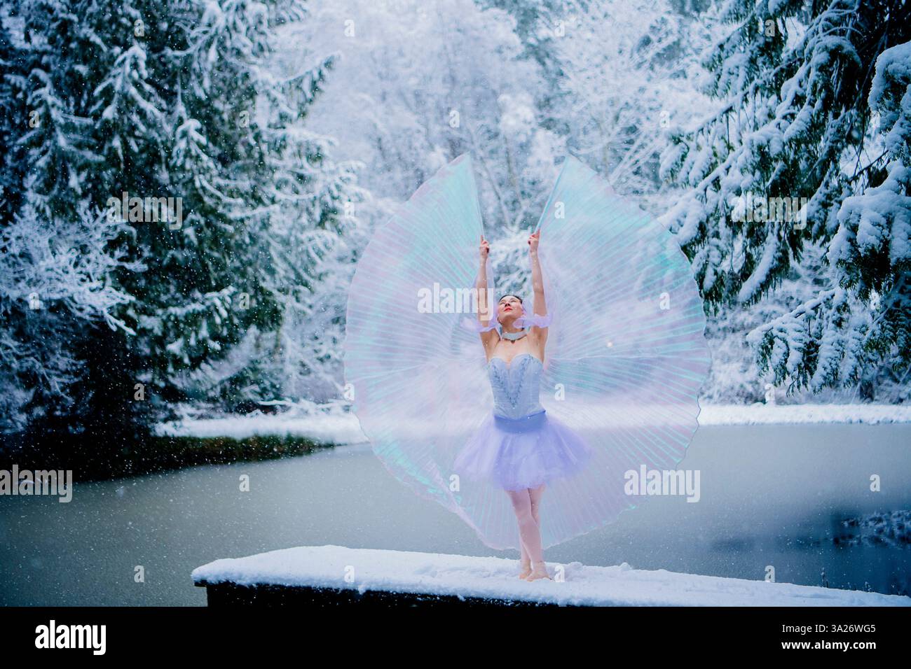 Fairy wings adult hi-res stock photography and images - Alamy Fairy wings adult hi-res stock photography and images - Alamy