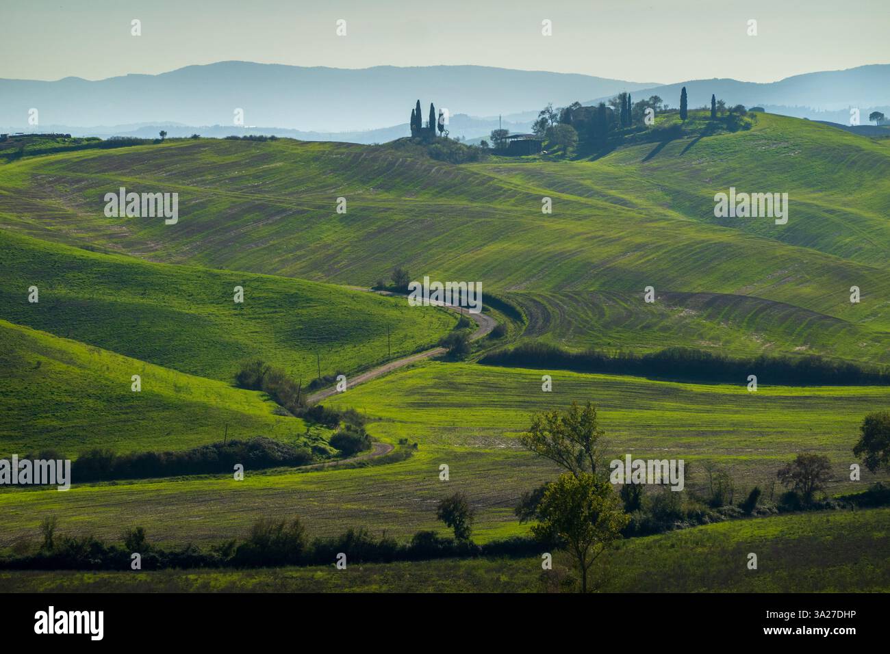 Idyllic green rolling hills beautifully captured with a winding road ...