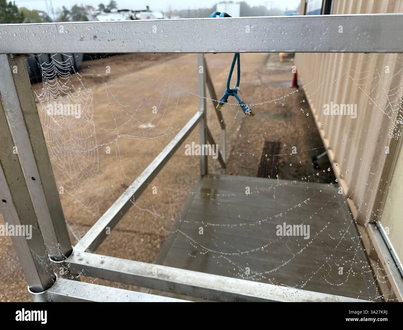 A delicate spiderweb adorned with morning dew clings to a metal railing, with an ethernet cable hanging nearby, blending nature and technology. - Smartphone Captured Stock Image