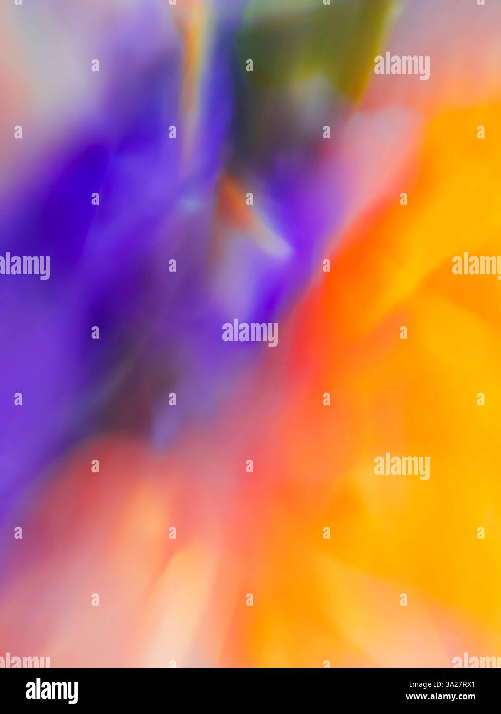 Juxtaposition of colors hi-res stock photography and images - Alamy