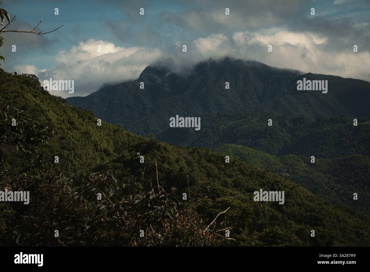 Green mountain peak hi-res stock photography and images - Alamy
