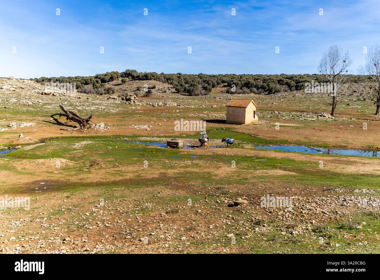 Landscape in the middle Atlas, Azrou, Morocco Stock Photo - Alamy