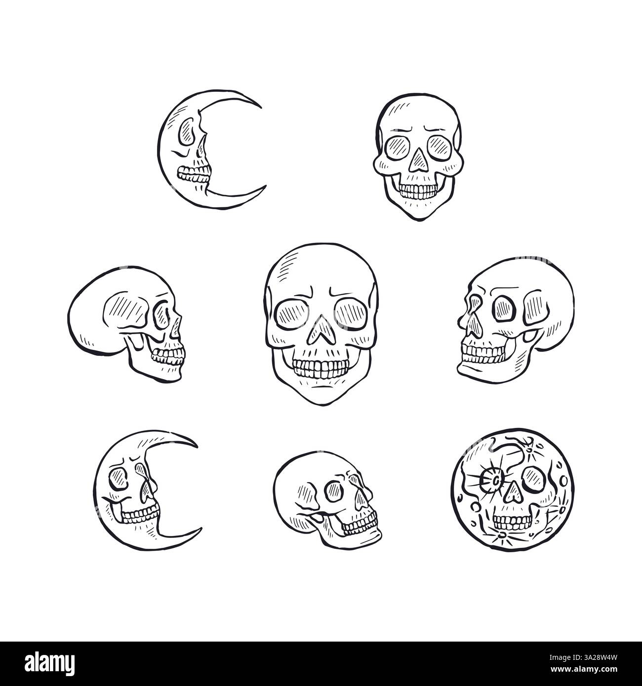 Hand drawn black and white line art human skulls set Stock Vector Image ...