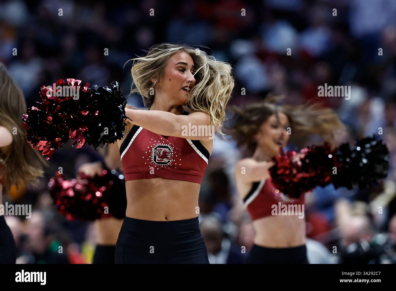 South Carolina cheerleaders perform during the second half of an NCAA