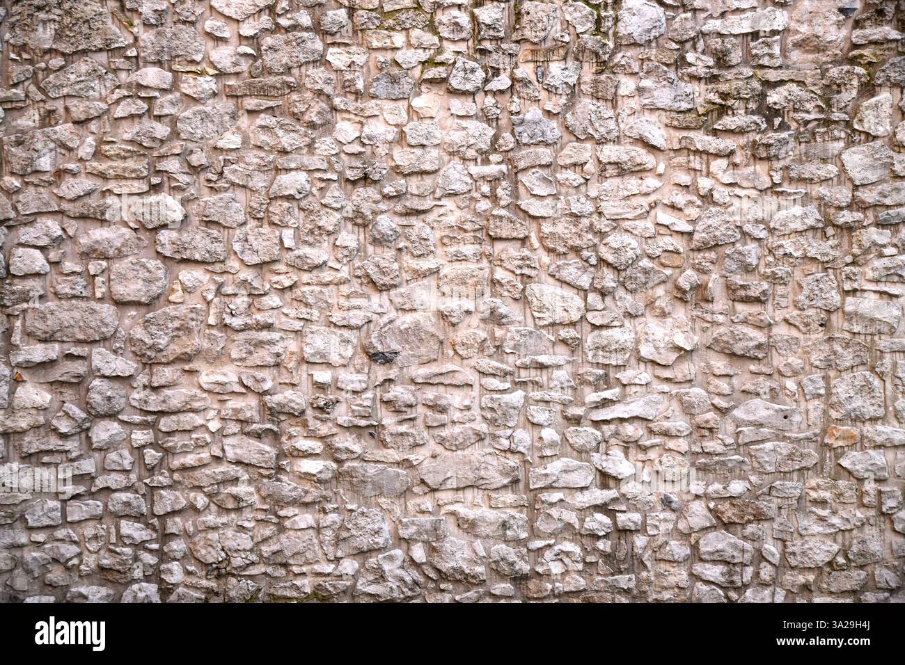 Textured natural forms hi-res stock photography and images - Alamy