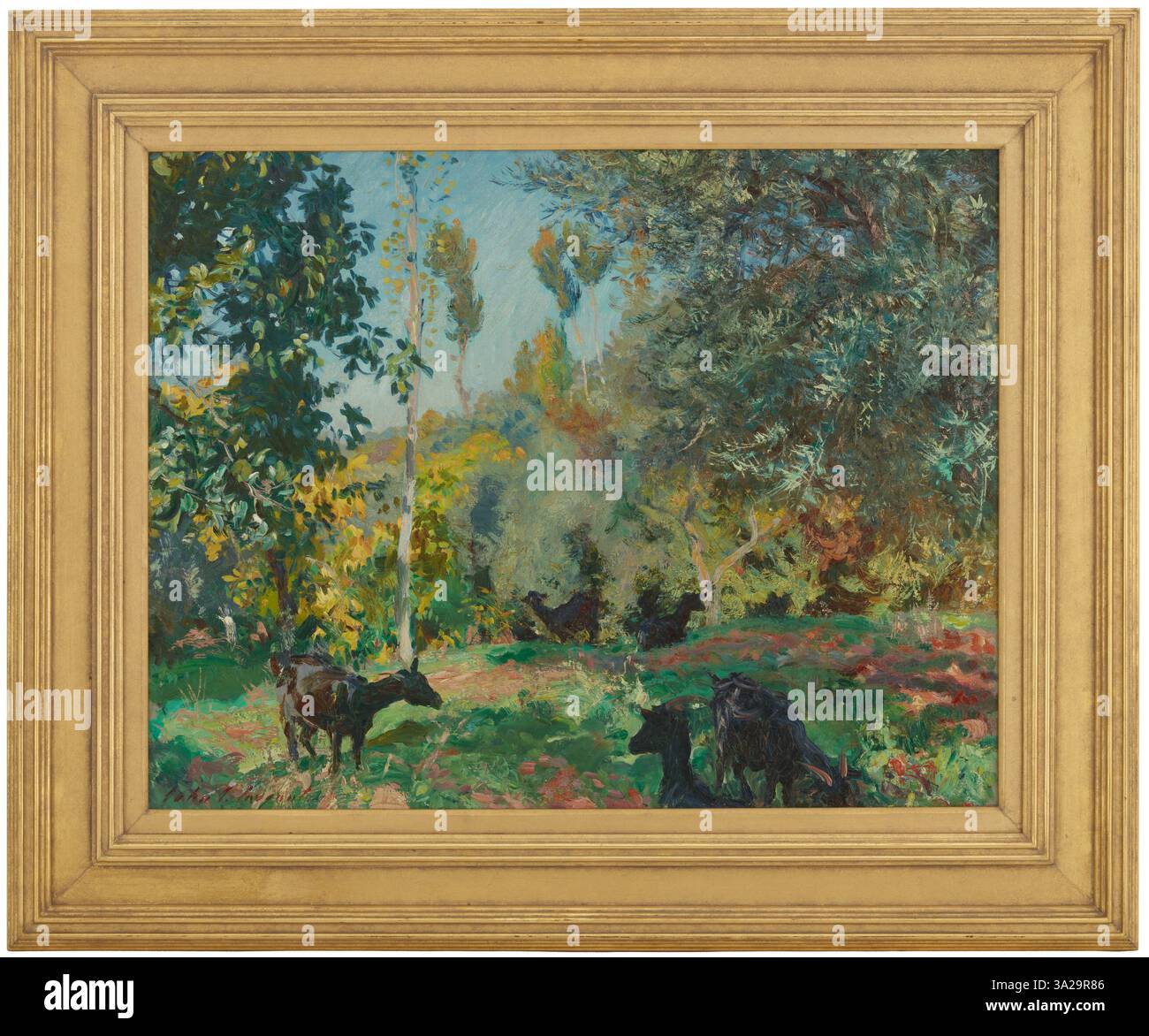 Grazing study Cut Out Stock Images & Pictures - Alamy