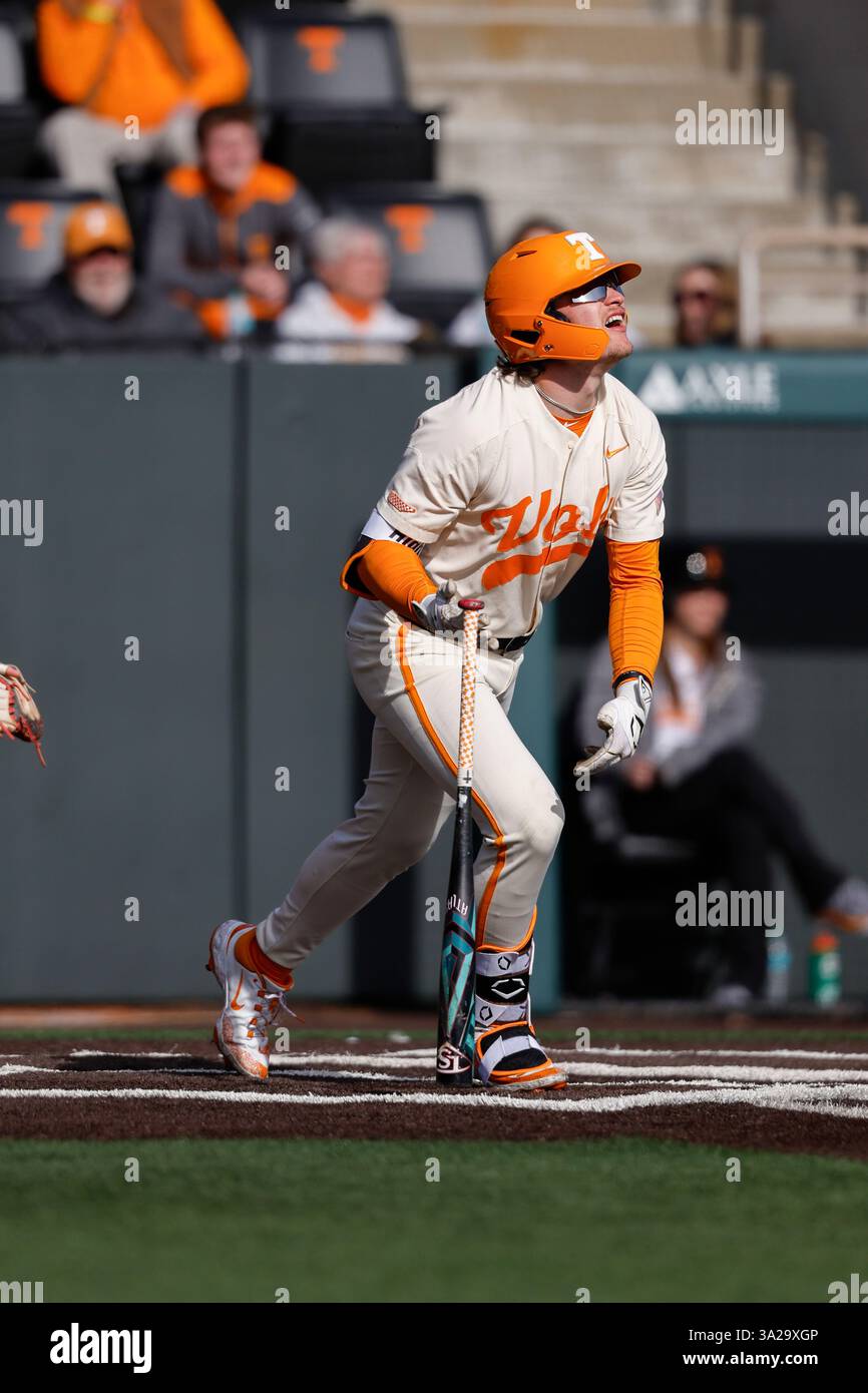 Pinch Bat Tennessee Volunteers pinch hitter Hunter High (15) at bat against the ...