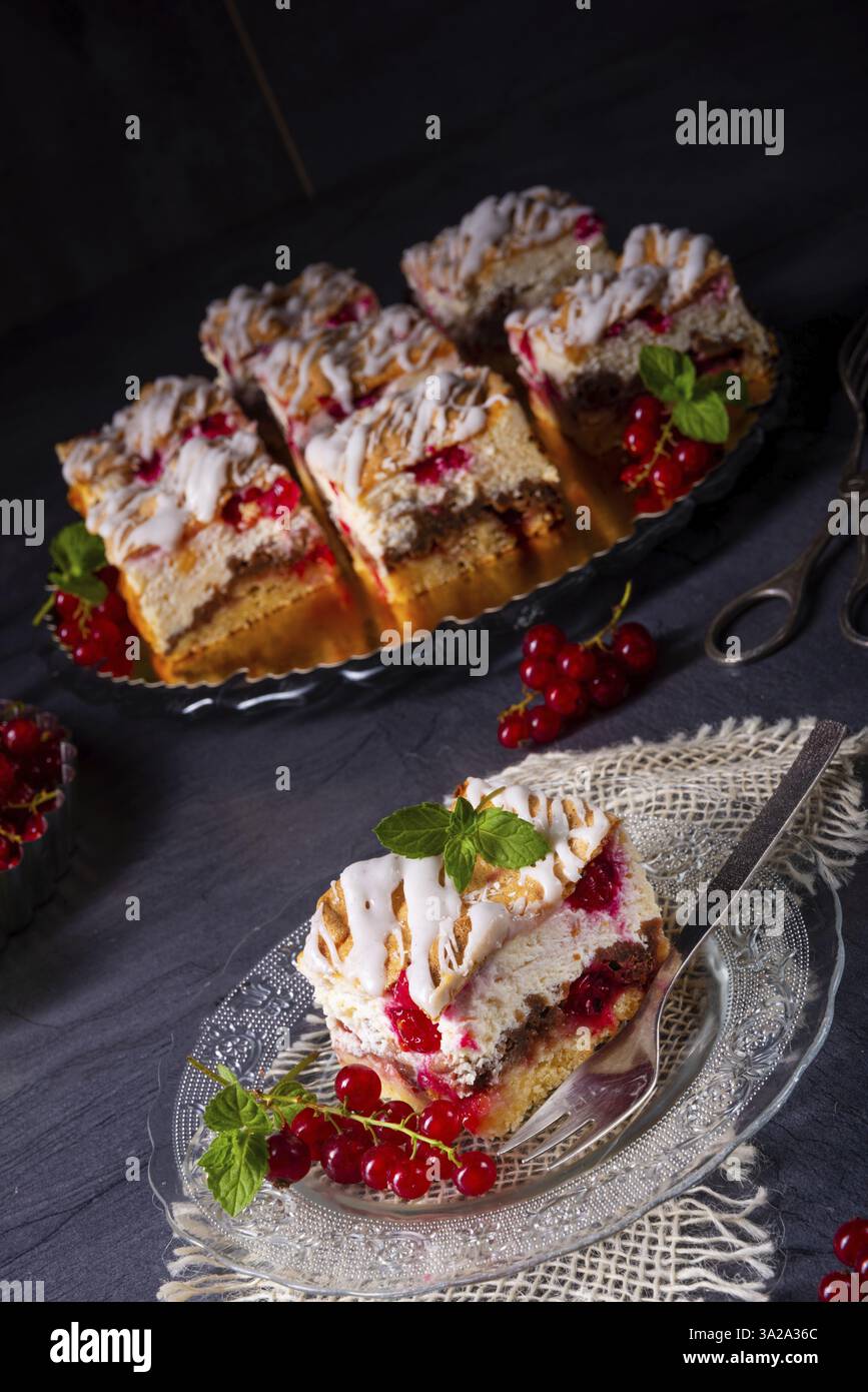 Cheesecake with meran and redcurrants Stock Photo