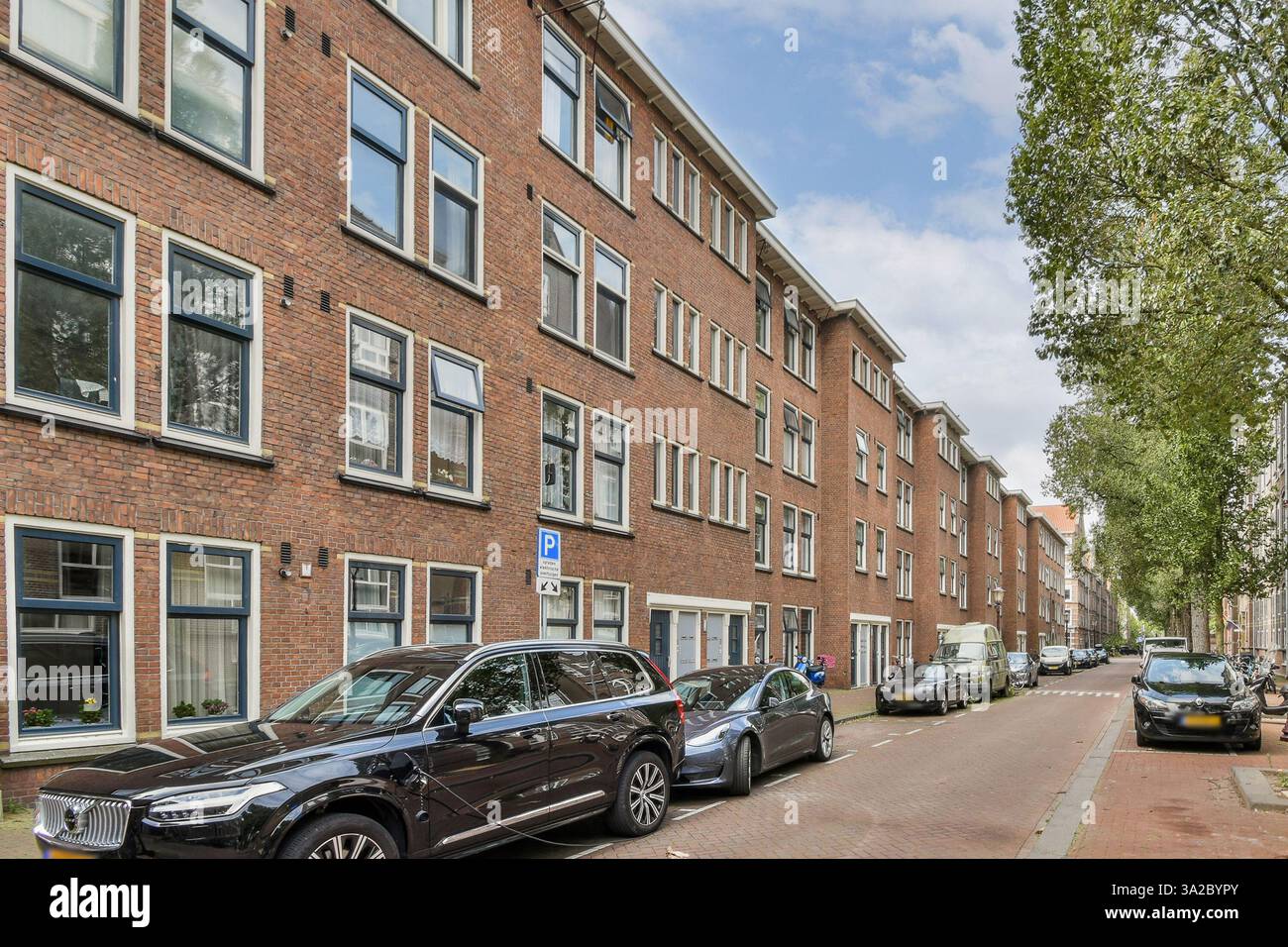 A picturesque residential street lined with trees and parked cars ...