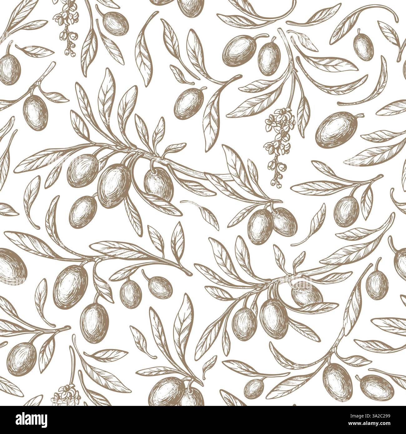Vintage olives seamless pattern. Vector sketch shape of branch, texture ...