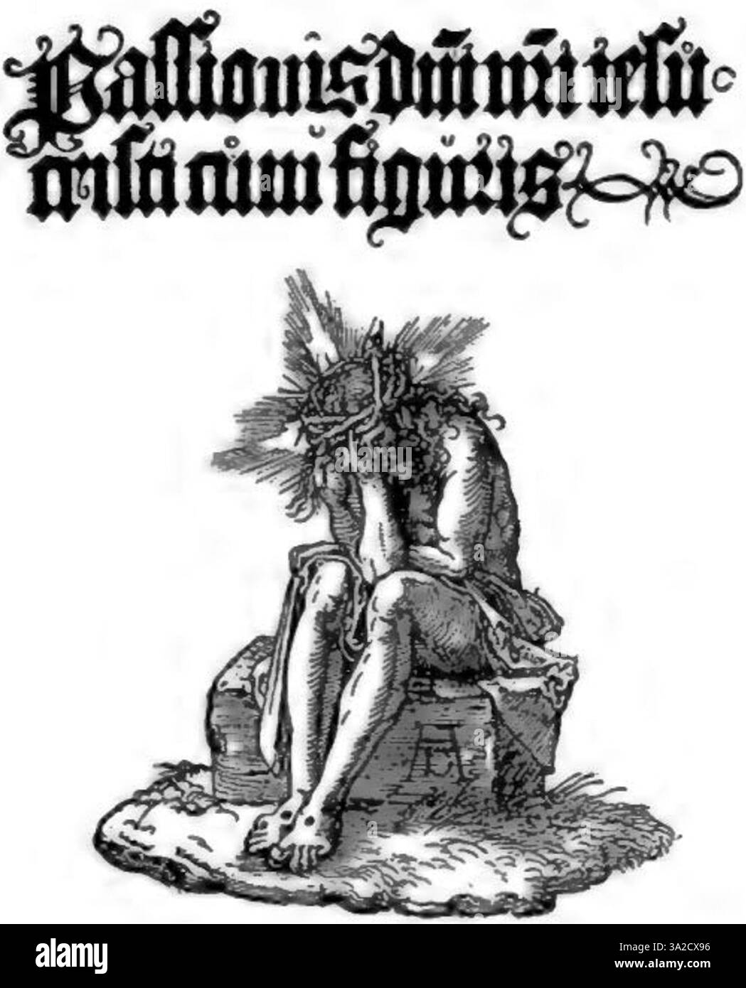 This print by Dürer captures the artist’s precise line work and shading ...