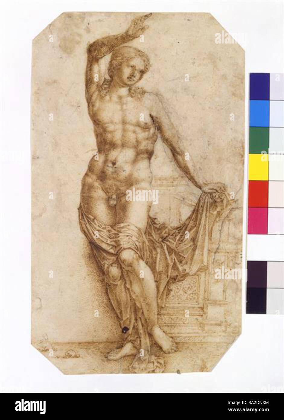 This painting depicts Apollo playing the cithara, an ancient stringed ...